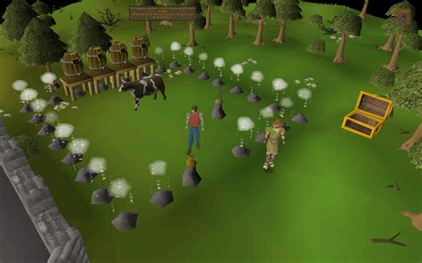 Nightmare Zone/Strategies .